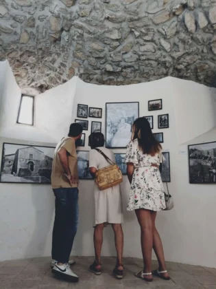 Mostra Radici - Risvegli 2 Edizione