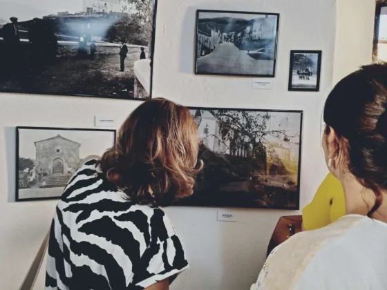 Mostra Radici - Risvegli 2 Edizione