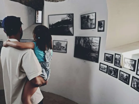 Mostra Radici - Risvegli 2 Edizione