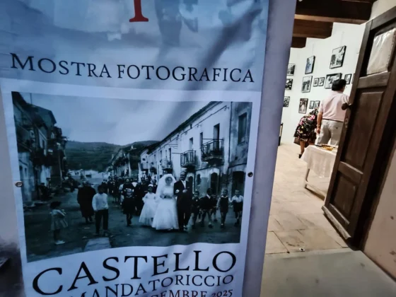 Mostra Radici - Risvegli 2 Edizione