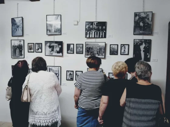 Mostra Radici - Risvegli 2 Edizione