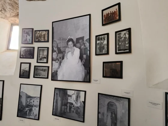 Mostra Radici - Risvegli 2 Edizione