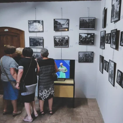 Mostra Radici - Risvegli 2 Edizione